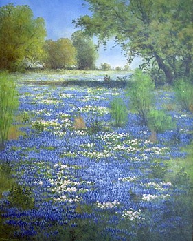 Beauty of Texas
