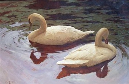 Swans Near the Cher, Griffin
