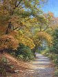 Can Creek Trail