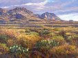 Western Chisos