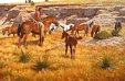 Guarding Comanche Ponies