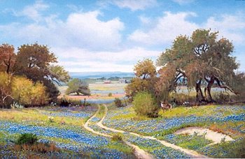 Back Road Vista
