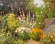 Country Hollyhocks